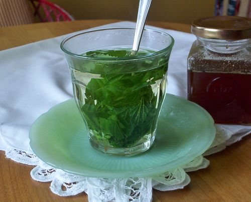 infusión de melisa para las náuseas