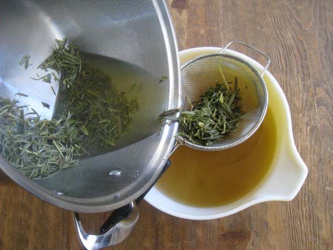 infusiones romero