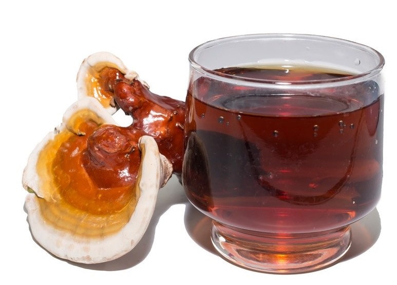 infusiones con reishi